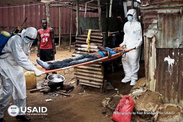 Alt hvad du behøver at vide om Ebola-virus